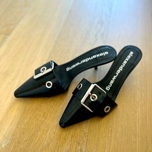 Alexander Wang Slingback I 37